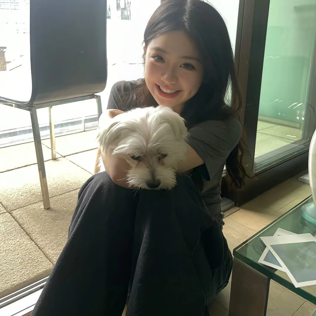 王室教师海涅剧场版