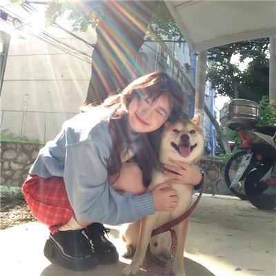 黑色蜂群
